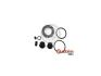 Стандартний комплект супорта SEINSA AUTOFREN D42358 (фото 1)