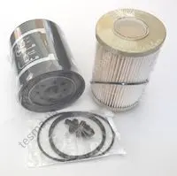 Fuel filter, kit. Фильтр топливный, набор SF-FILTER SK48593SET (фото 1)