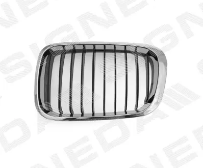 РЕШЕТКА РАДИАТОРА SIGNEDA PBM07010GAL