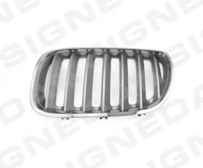 Решітка радіатора BMW X5 (E53), 04 - 06 SIGNEDA PBM07031GBL