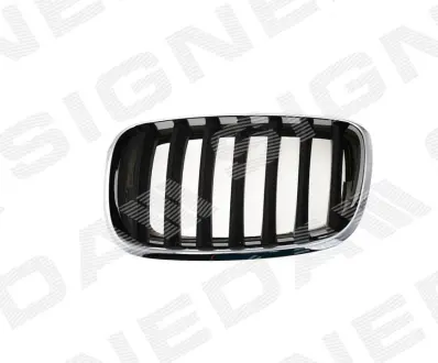 РЕШЕТКА РАДИАТОРА SIGNEDA PBM07053GAL