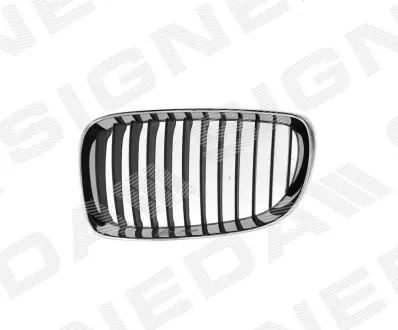 РЕШЕТКА РАДИАТОРА SIGNEDA PBM07081GAL