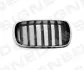 Решітка радіатора BMW X5 (F15), 13 - 18 SIGNEDA PBM07105GAR (фото 1)