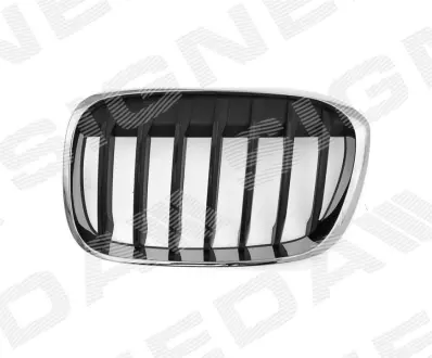 РЕШЕТКА РАДИАТОРА SIGNEDA PBM07124GAL