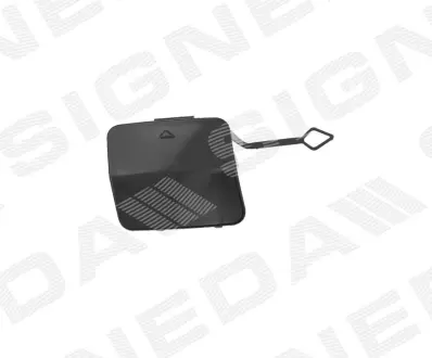ЗАГЛУШКА КРЮКА SIGNEDA PBM99099CA