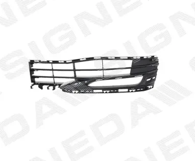 Решітка в бампер BMW 5 (G30), 17 - SIGNEDA PBM99193GAR