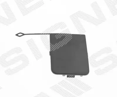 ЗАГЛУШКА КРЮКА SIGNEDA PBM99234CAL