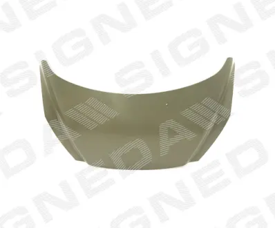 Капот SIGNEDA PPG20021B