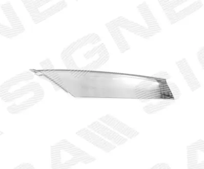 Молдінг на решітку в бампер TESLA MODEL S, 16 - SIGNEDA PTS99001MAR