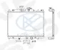 РАДИАТОР SIGNEDA RA606117Q (фото 1)