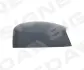 КРЫШКА НА ЗЕРКАЛО SIGNEDA VFDM1027DL (фото 1)