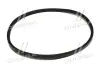 ремінь A 975 (PHG A37) SKF A975 - фото 3