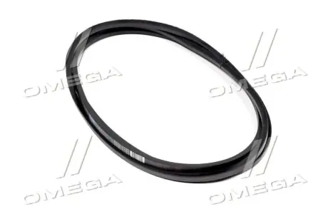 Ремінь C 5000 (СВ-5000) (PHG C195) SKF C5000