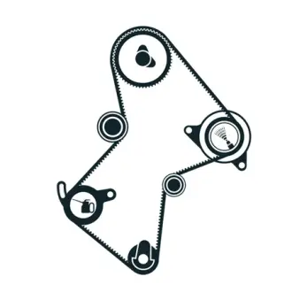 Комплект ремня ГРМ SKF VKMA06125