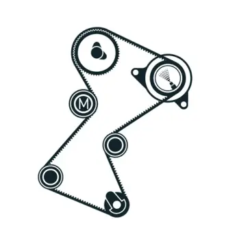 Комплект ремня ГРМ SKF VKMA06137