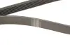 Комплект ременя генератора Opel Insignia 2.0 CDTI 08-17 (6PK 1852) SKF VKMA 35359 (фото 4)