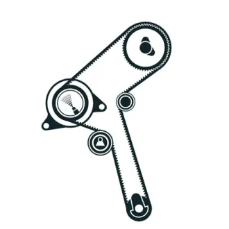 Комплект ремня ГРМ SKF VKMA92519