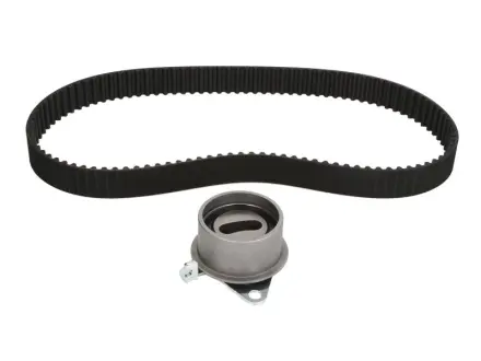 Роликовий модуль натягувача ременя (ролик. ремінь) SKF VKMA95650