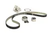 Водяной насос + комплект зубчатого ремня SKF VKMC021952 (фото 1)