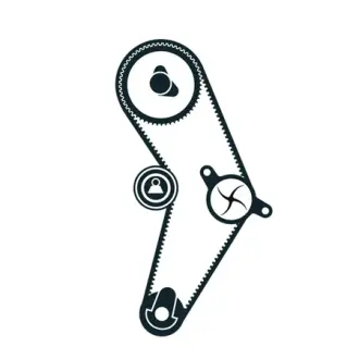 Водяной насос + комплект зубчатого ремня SKF VKMC022041