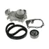 Комплект (ремінь+ролик+помпа) SKF VKMC06003 (фото 2)