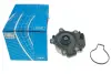 Насос водяний SKF VKPC 91856 (фото 6)
