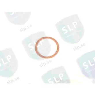 COPPER WASHER SLP BR061