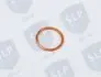 COPPER WASHER SLP BR329 (фото 2)