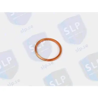 COPPER WASHER SLP BR329