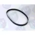 MULTI-RIB BELT SLP DB032 (фото 1)