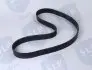 MULTI-RIB BELT SLP DB427 (фото 2)