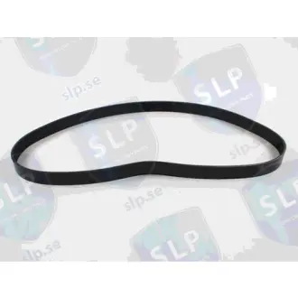 MULTI-RIB BELT SLP DB817