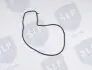 GASKET SLP EPL3569 (фото 2)