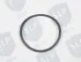 SEALING RING SLP EPL5809 (фото 2)