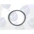 SEALING RING SLP EPL5809 (фото 1)
