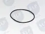 O-RING SLP OR261 (фото 2)