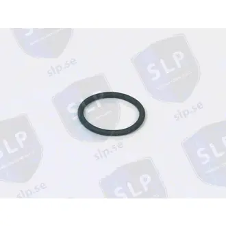 O-RING SLP OR487