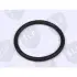 O-RING SLP OR6053 (фото 1)