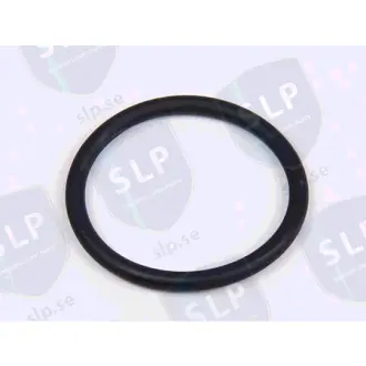 O-RING SLP OR6053