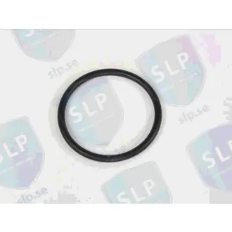 O-RING SLP OR697