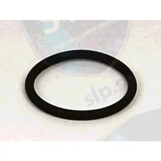 O-RING SLP OR747