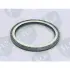 CRANKSHAFT SEAL SLP PB259 (фото 1)