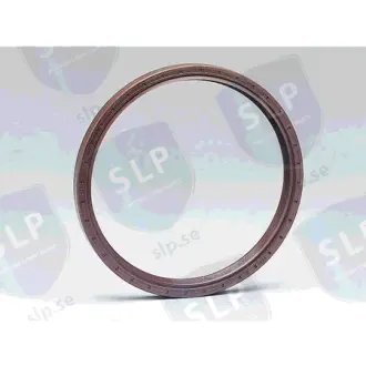 RADIAL SEAL SLP PB3896