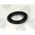 SEALING RING SLP RS483 (фото 1)