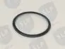 SEALING RING SLP RS656 (фото 2)