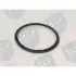 SEALING RING SLP RS656 (фото 1)