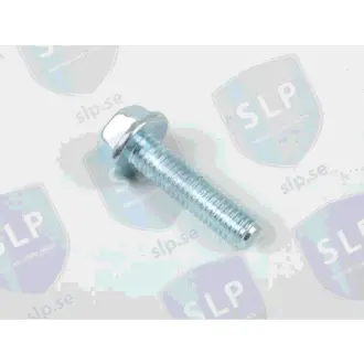 FLANGE SCREW SLP SKR317