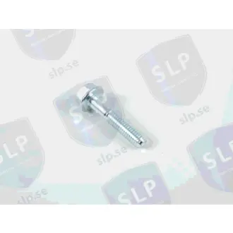FLANGE SCREW SLP SKR356