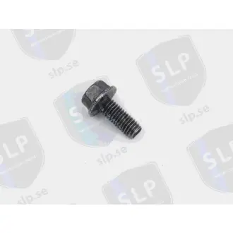 SCREW SLP SKR846