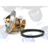 THERMOSTAT SLP TK952 (фото 1)
